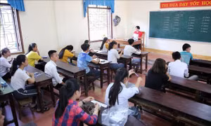 Hà Nội rà soát trường hợp được đặc cách giáo viên hợp đồng trước ngày 20/11
