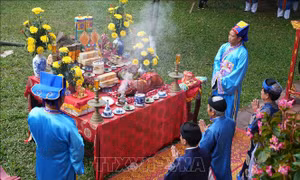 Lễ Thướng Tiêu và chuỗi hoạt động 'Tết Huế cùng di sản' hấp dẫn người dân, du khách