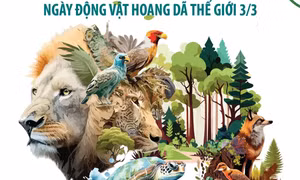 Ngày Động vật hoang dã thế giới 3/3: Những con số báo động