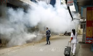 Ca mắc sốt xuất huyết trên đà giảm nhưng người dân không nên chủ quan