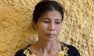 Thanh Hóa: Khởi tố, bắt tạm giam đối tượng chống người thi hành công vụ thi công đường dây 500KV mạch 3