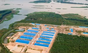 Buộc tháo dỡ trang trại nuôi lợn trái phép tại khu vực giáp ranh hồ thủy điện Trị An