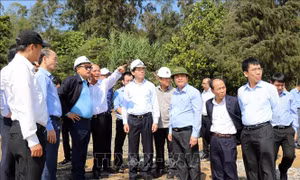 Bảo đảm tiến độ triển khai dự án Khí Cá Voi Xanh