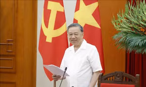 Thông báo Kết luận của Tổng Bí thư, Chủ tịch nước Tô Lâm về trọng tâm công tác xây dựng Đảng, công tác tổ chức, cán bộ