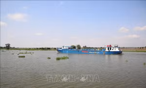Nhanh chóng hoàn thiện hệ thống đê bao ven sông ứng phó với thiên tai