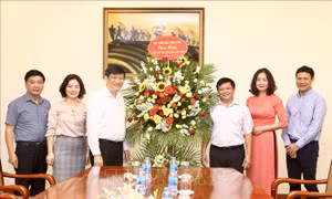 Phó Tổng giám đốc TTXVN Đinh Đăng Quang tiếp Đoàn đại biểu Ban Tuyên giáo Trung ương