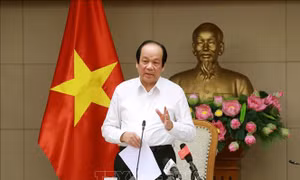 Bộ trưởng Mai Tiến Dũng: Việc 'ngăn sông cấm chợ' là sai chỉ đạo của Thủ tướng
