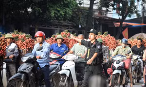 Căng mình điều tiết giao thông giữa nắng nóng gay gắt tại thủ phủ vải thiều Lục Ngạn