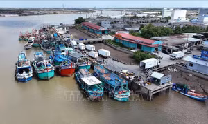Chính phủ quy định 4 phương thức khai thác tài sản kết cấu hạ tầng của Nhà nước