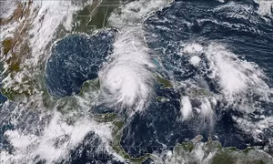 Bão Michael 'khổng lồ' chuẩn bị đổ bộ vào Florida, Mỹ
