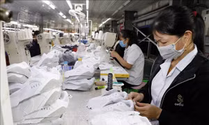 Vận dụng các FTA thúc đẩy xuất khẩu - Bài 1: Đòn bẩy 'bước ra' thế giới 