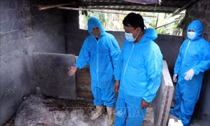 Nông nghiệp ứng phó dịch bệnh và chính sách thuế quan để giữ đà tăng trưởng