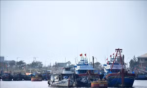 Đà Nẵng phát triển kinh tế biển - Bài 1: Gìn giữ 'chất biển' truyền thống làm nền tảng
