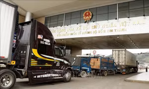 Tạo động lực thúc đẩy xuất khẩu tăng trưởng mạnh