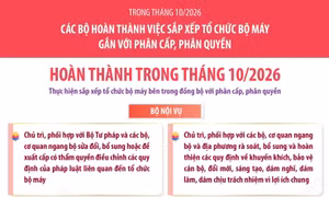Trong tháng 10/2026, các bộ hoàn thành việc sắp xếp tổ chức bộ máy gắn với phân cấp, phân quyền