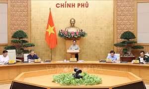 Bộ trưởng chịu trách nhiệm về chất lượng dự án, dự thảo văn bản quy phạm pháp luật do mình ban hành