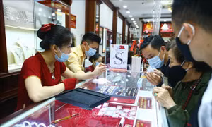 Giá vàng sáng 22/2 lùi về sát mốc 56 triệu đồng/lượng