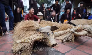Độc đáo lễ hội 'Trâu rơm, bò rạ' 