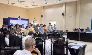 Xét xử vụ án đưa, nhận hối lộ trong cung cấp thực phẩm cho nhiều trường mầm non