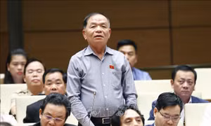 Không vì tiến độ mà bỏ qua chất lượng các quy hoạch