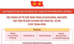 Quy định số 208-QĐ/TW: Việc thành lập tổ chức đảng trong cơ quan Đảng, Nhà nước, Mặt trận Tổ quốc và đoàn thể chính trị - xã hội ở cấp trung ương