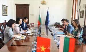 Thúc đẩy hợp tác pháp luật và tư pháp giữa Việt Nam và Bulgaria trong giai đoạn mới