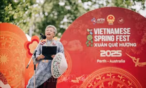 Kiều bào với Tổ quốc: Đối tác đồng hành trong phát triển đất nước
