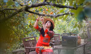 Lời giải cho du lịch mùa thấp điểm ở Nghệ An