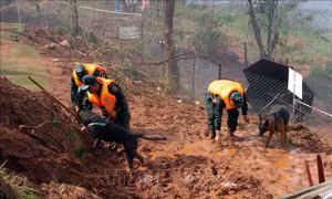 Chủ động ứng phó các tình huống thiên tai trong dịp Tết Nguyên đán 