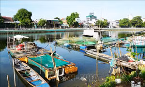 Tháo dỡ toàn bộ lồng bè nuôi cá trên sông Như Ý (Huế) trước ngày 18/8
