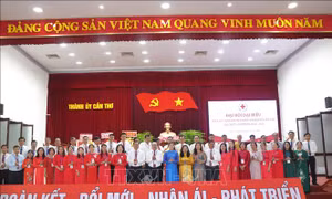 Chuyển tư duy hỗ trợ sang trợ giúp phát triển bền vững, tạo sinh kế lâu dài