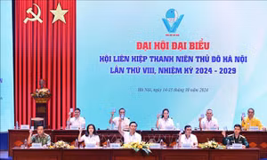 Đại hội đại biểu Hội Liên hiệp Thanh niên Việt Nam TP Hà Nội lần thứ VIII