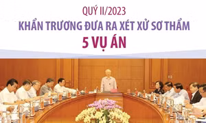 Quý II/2023: Khẩn trương đưa ra xét xử sơ thẩm 5 vụ án