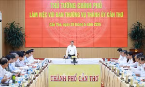 Thủ tướng Chính phủ Lê Minh Hưng: Cần Thơ cần chú trọng nghiên cứu các cơ chế đặc thù để thúc đẩy phát triển toàn diện