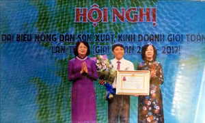 Giáo dân làm giàu trên mảnh đất quê hương