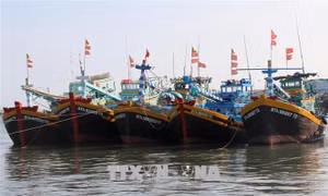 Không để bất kỳ tàu cá và ngư dân vi phạm vùng biển nước ngoài
