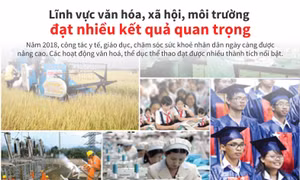 Lĩnh vực văn hóa, xã hội, môi trường đạt nhiều kết quả quan trọng
