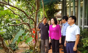 Hà Nội chuyển đổi cơ cấu theo hướng nông nghiệp công nghệ cao