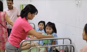 Vụ ngộ độc ruốc gà ở Ninh Bình: Học sinh trở lại lớp, bếp ăn bị đình chỉ