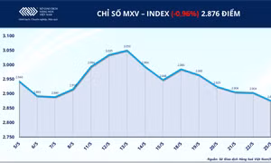 Áp lực bán lan rộng, MXV-Index rời vùng 2.900 điểm