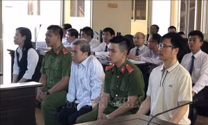 Nguyên Giám đốc Navibank Chi nhánh Bạc Liêu lãnh án tù chung thân