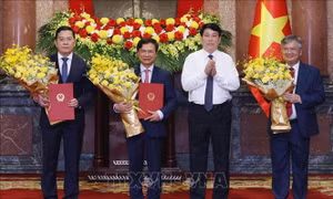 Chủ tịch nước Lương Cường trao quyết định bổ nhiệm 3 Phó Chủ nhiệm Văn phòng Chủ tịch nước