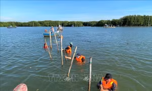 Giải quyết dứt điểm tình trạng lấn chiếm đầm Thị Nại để nuôi trồng thủy sản