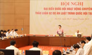 Khai mạc Hội nghị đại biểu Quốc hội hoạt động chuyên trách 