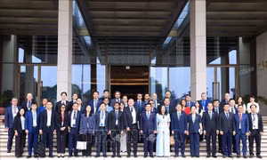 Thúc đẩy cơ hội đầu tư trong lĩnh vực điện gió, năng lượng tái tạo tại Việt Nam