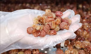Giải bài toán phân phối nông sản - Bài cuối: Liên kết thành chuỗi giá trị khép kín