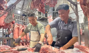 TP Hồ Chí Minh chính thức vận hành sàn giao dịch thịt lợn từ cuối tháng 4