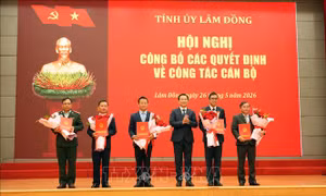 Tỉnh ủy Lâm Đồng điều động, luân chuyển vị trí nhiều cán bộ chủ chốt