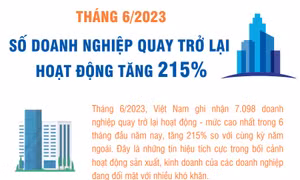 Tháng 6/2023, số doanh nghiệp quay trở lại hoạt động tăng 215%