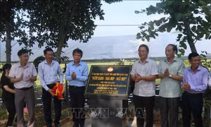 Quảng Nam: Thi công 280 công trình, phần việc chào mừng Đại hội Mặt trận Tổ quốc tỉnh